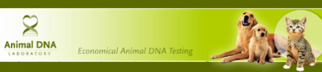 Animal DNA Laboratory